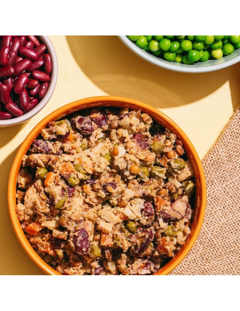 Vegetarian wet food for dogs Natural
