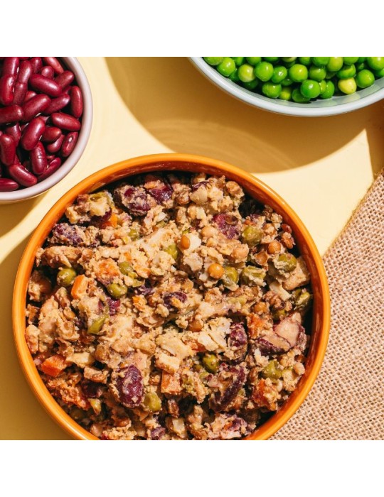 Vegetarian wet food for dogs Natural