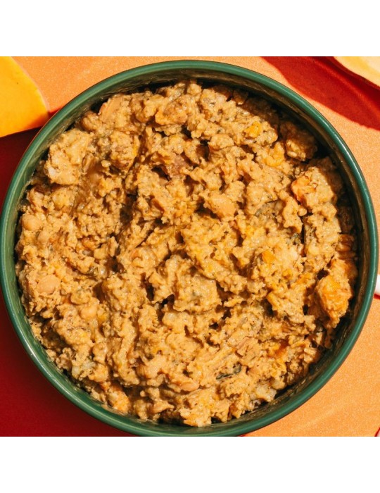 Vegetarian wet food for dogs Natural