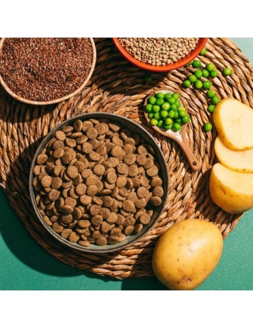 Snacks Naturali per Cani
