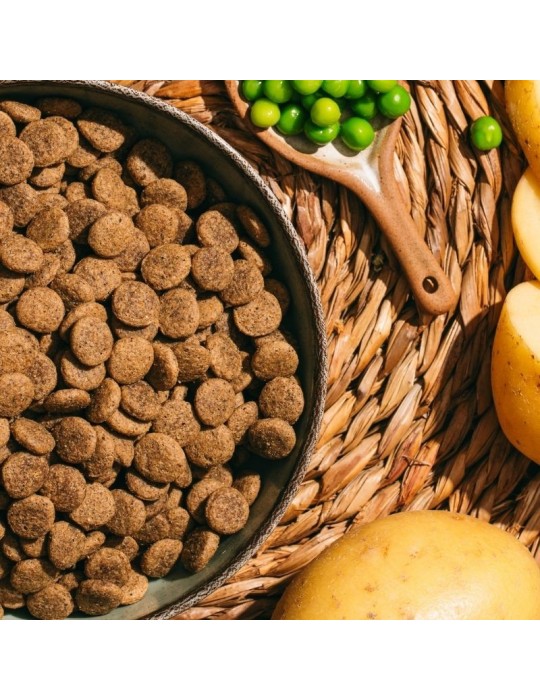Alimento vegano sin cereales para perros VegDog Green Crunch ✅