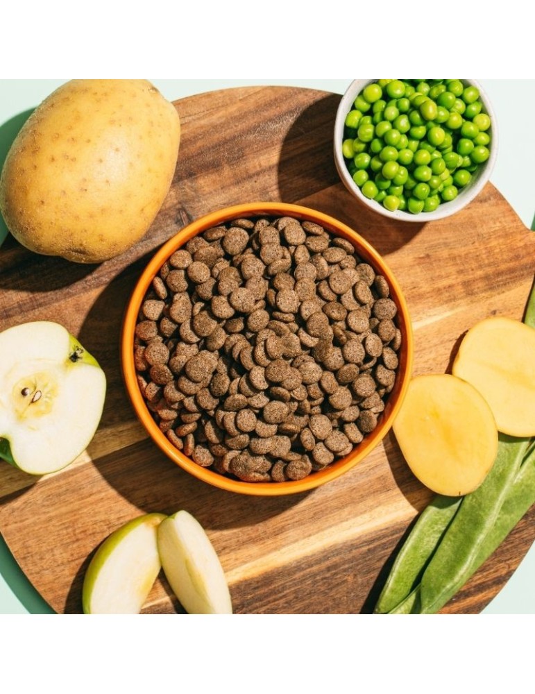 Snacks vegetarianos para Cães Natural