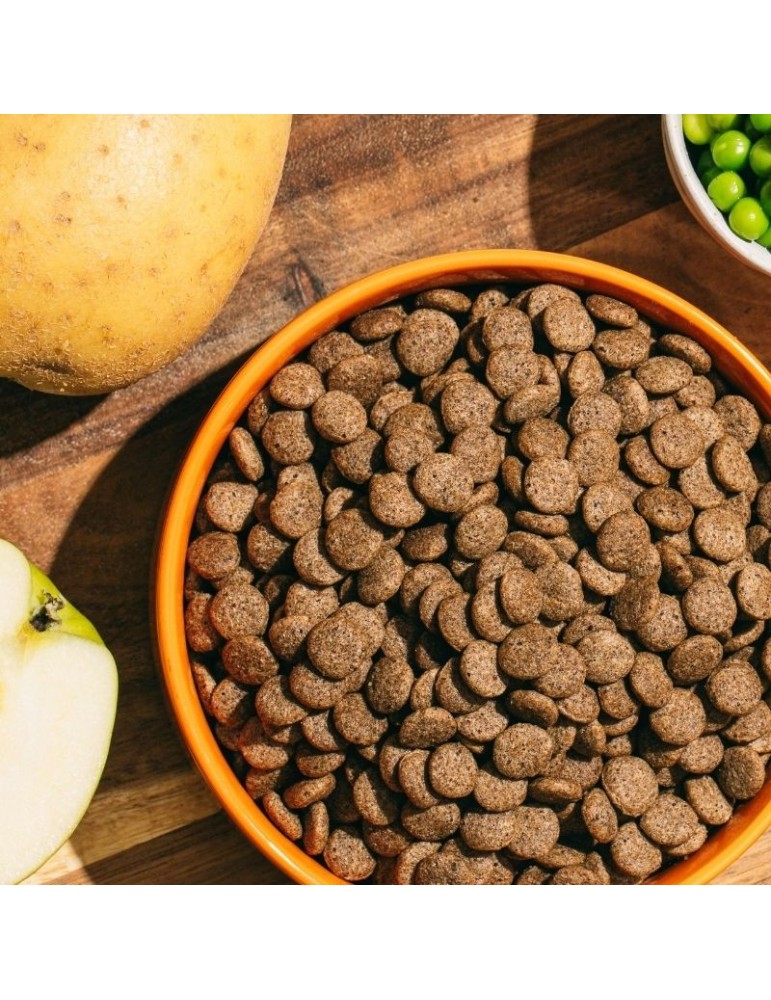 Snacks vegetarianos para Cães Natural