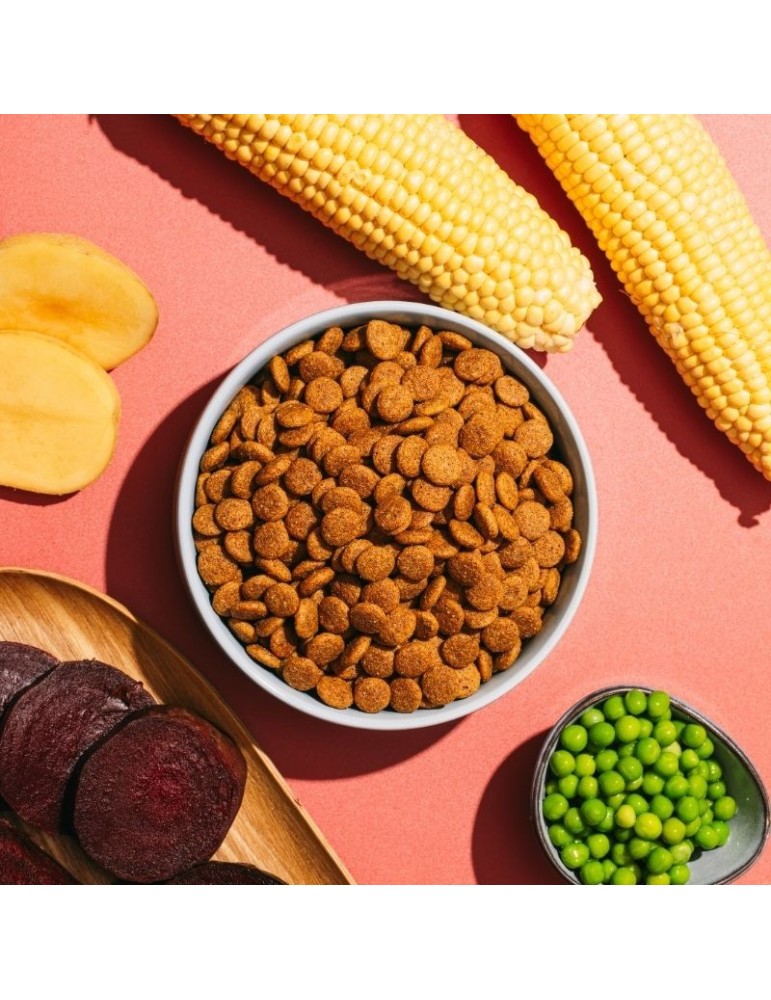 Snacks Naturali per Cani