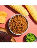 Snacks Naturali per Cani