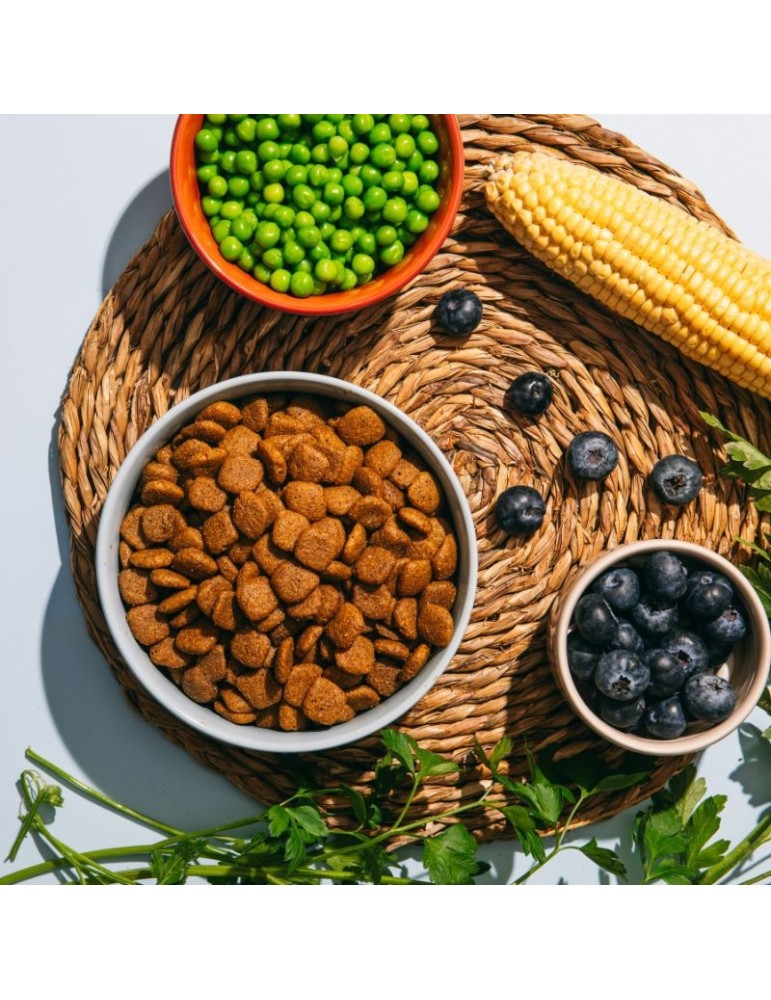 VEGGIEANIMALS Plus 2 e 12,5 kg – Crocchette naturali e vegane per cani – digestione e salute urinaria