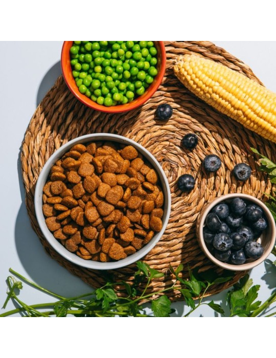VEGGIEANIMALS Plus 2 e 12,5 kg – Crocchette naturali e vegane per cani – digestione e salute urinaria