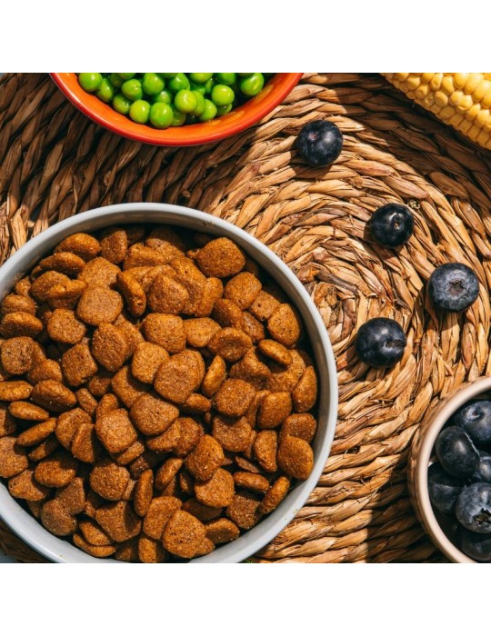 VEGGIEANIMALS Plus 2 e 12,5 kg – Crocchette naturali e vegane per cani – digestione e salute urinaria