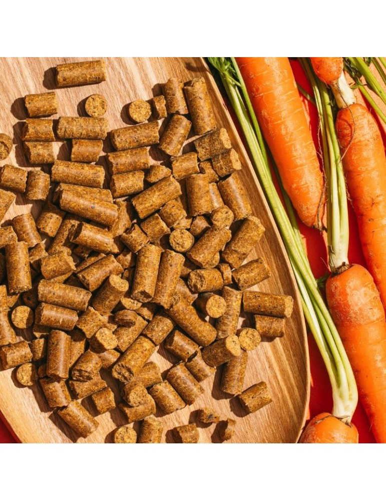 Snacks Naturali per Cani