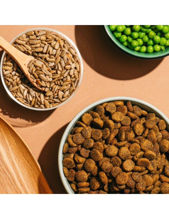 Snacks vegetarianos para Cães Natural