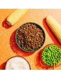 Snacks Naturali per Cani