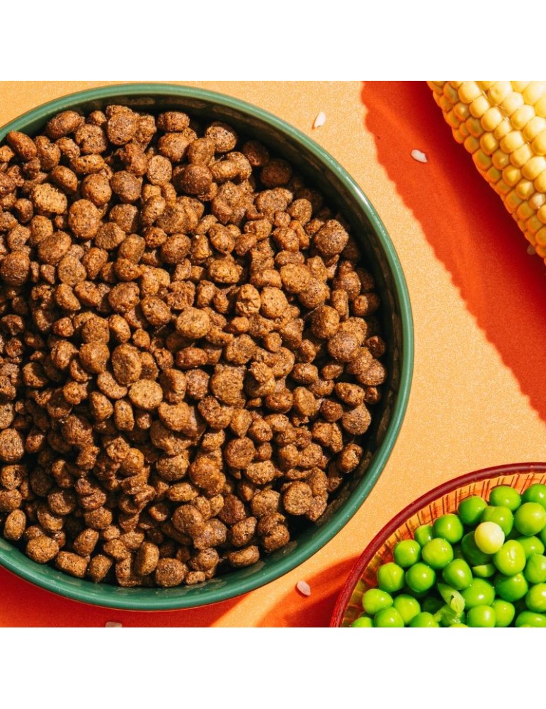 AMI Dog Mini & Toy 1-3 kg | Pienso vegano hipoalergénico ✅