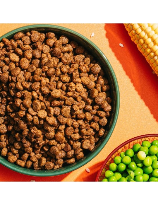 AMI Dog Mini & Toy 1-3 kg | Pienso vegano hipoalergénico ✅