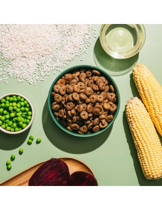 Benevo Adult Original 1,8 kg/10 kg | Pienso vegano completo adultos ✅