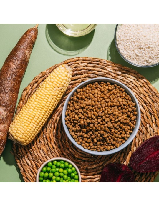 Snacks Naturali per Cani
