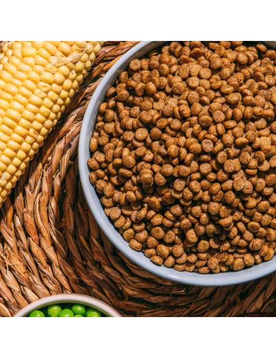 Benevo ORIGINAL Puppy 1,8kg y 10kg | Pienso vegano completo cachorros ✅