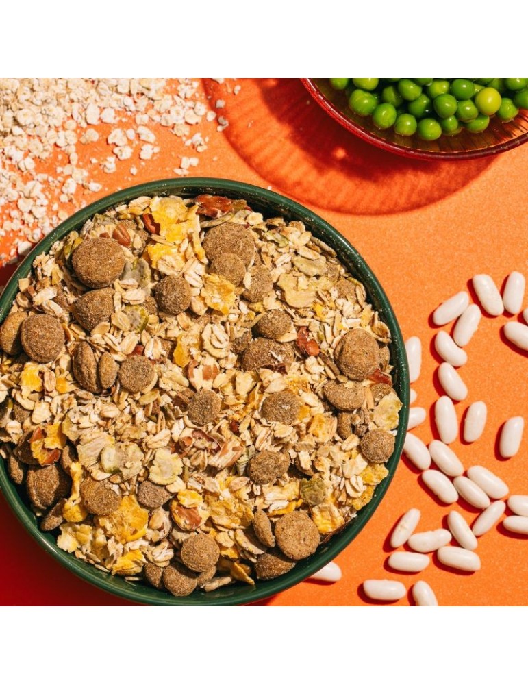 V‑dog Traditional Flakes 15 kg | Pienso vegano completo adultos ✅