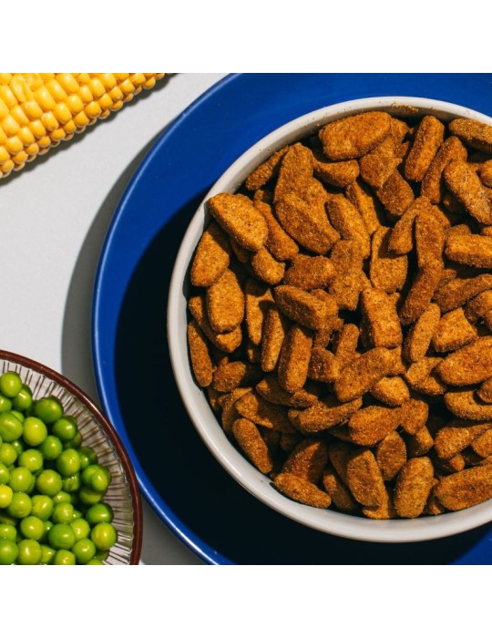 Snacks vegetarianos para Cães Natural