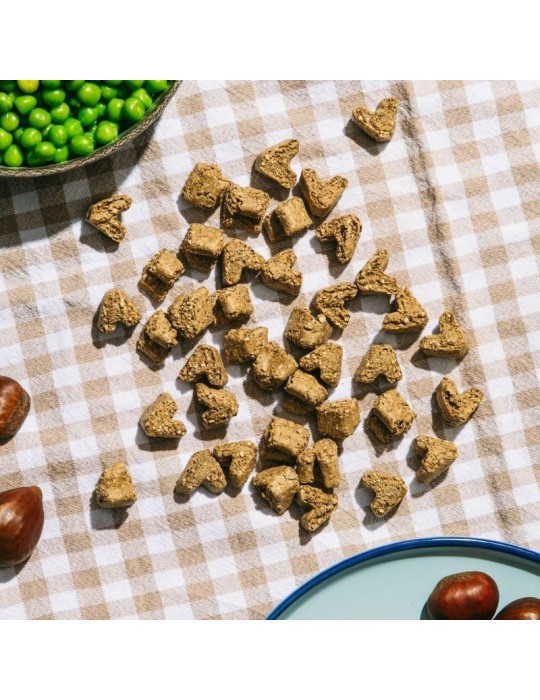 Snacks vegetarianos para Cães Natural