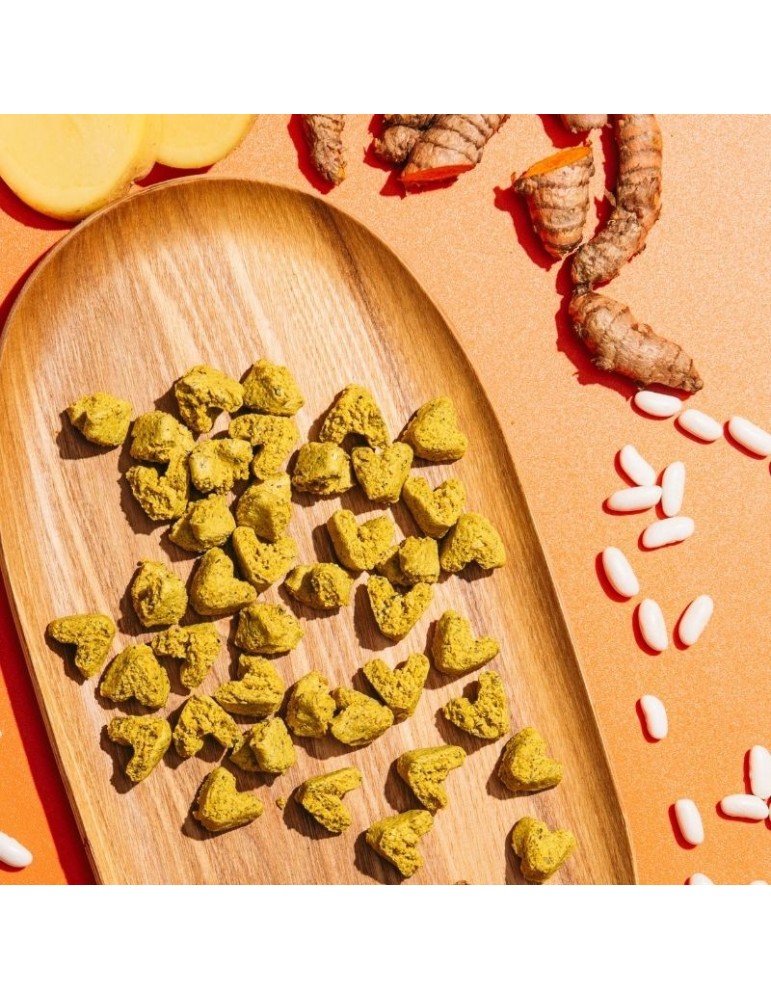 Snacks for dogs | 100% Organic and natural
