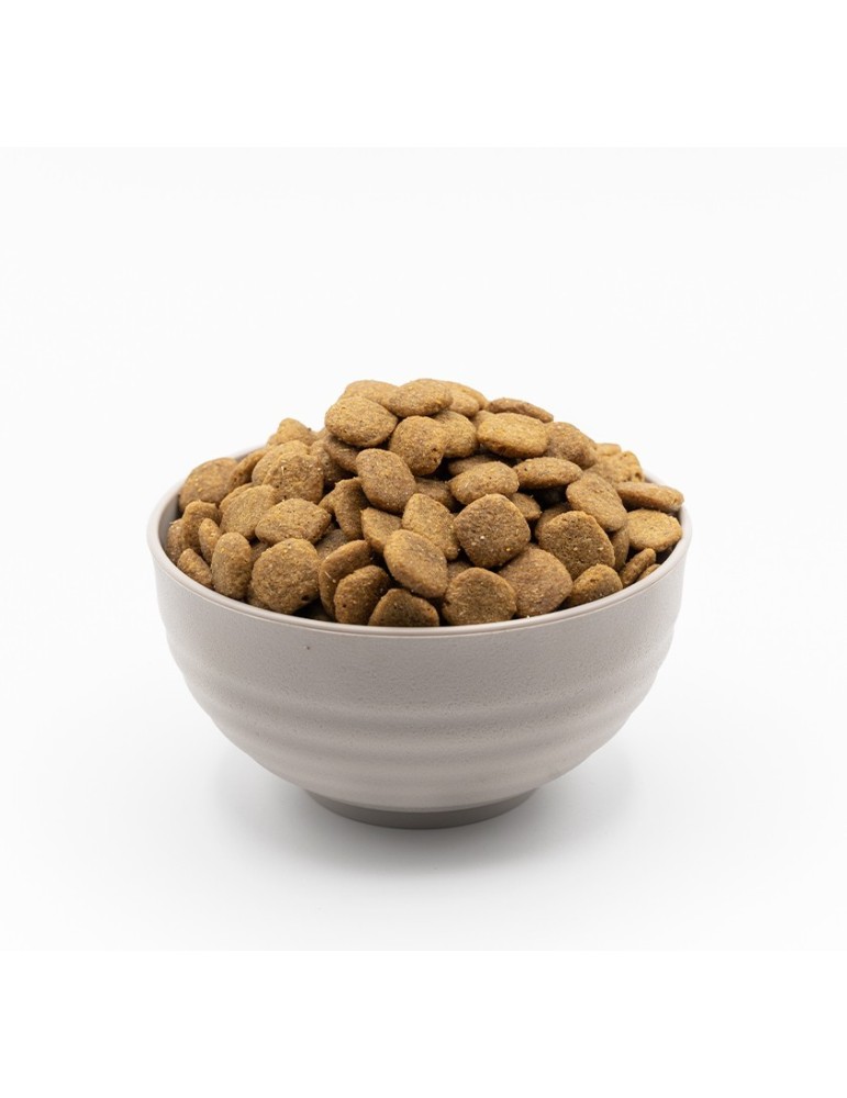 VeggieAnimals Plus | Pienso natural y vegano para perros ✅