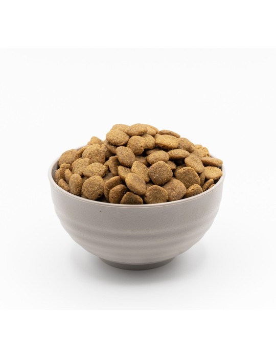 VEGGIEANIMALS Plus 2 and 12.5 kg – Natural and vegan kibble for dogs – digestion and urinary health