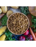VEGGIEANIMALS Plus 2 e 12,5 kg – Crocchette naturali e vegane per cani – digestione e salute urinaria
