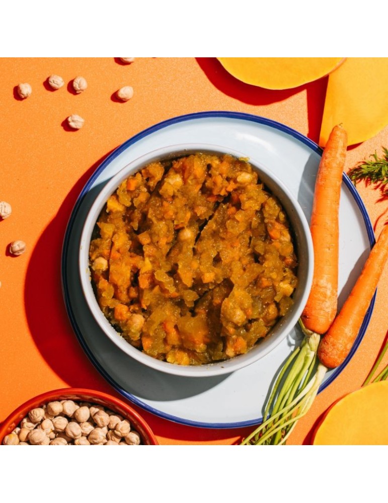 V.E.G Calabaza, Zanahoria y Garbanzos 400 g | Alimento húmedo ✅