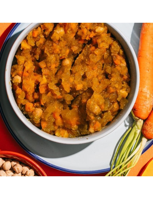 V.E.G Calabaza, Zanahoria y Garbanzos 400 g | Alimento húmedo ✅