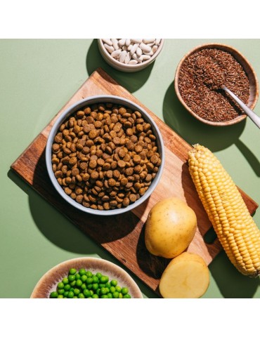V.E.G Vegan Mini 1,5 kg | Pienso vegano perros adultos ✅