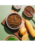V.E.G Vegan Mini 1.5 kg | Vegan Food for Adult Dogs ✅