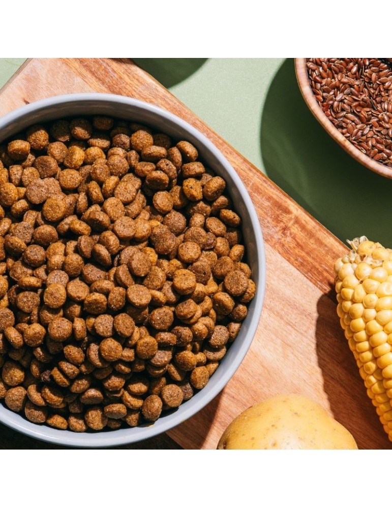V.E.G Vegan Mini 1.5 kg | Vegan Food for Adult Dogs ✅