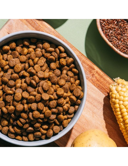 V.E.G Vegan Mini 1.5 kg | Vegan Food for Adult Dogs ✅