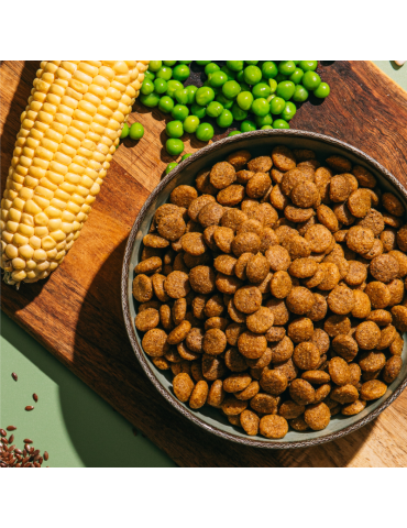 V.E.G Medium-Large | Pienso vegano para perros adultos ✅