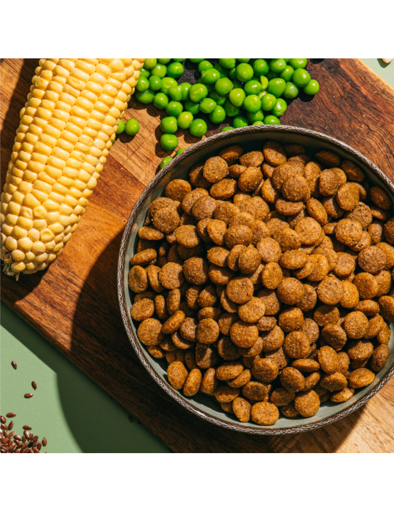 V.E.G Medium-Large | Pienso vegano para perros adultos ✅