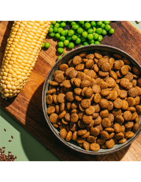 V.E.G Medium-Large | Alimento vegano para cães adultos ✅