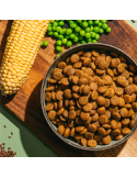 V.E.G Medium-Large | Alimento vegano para cães adultos ✅