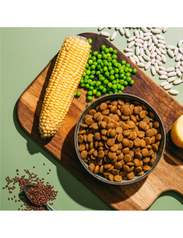 V.E.G Medium-Large | Pienso vegano para perros adultos ✅