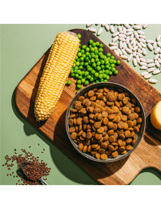 V.E.G Medium-Large | Alimento vegano per cani adulti ✅