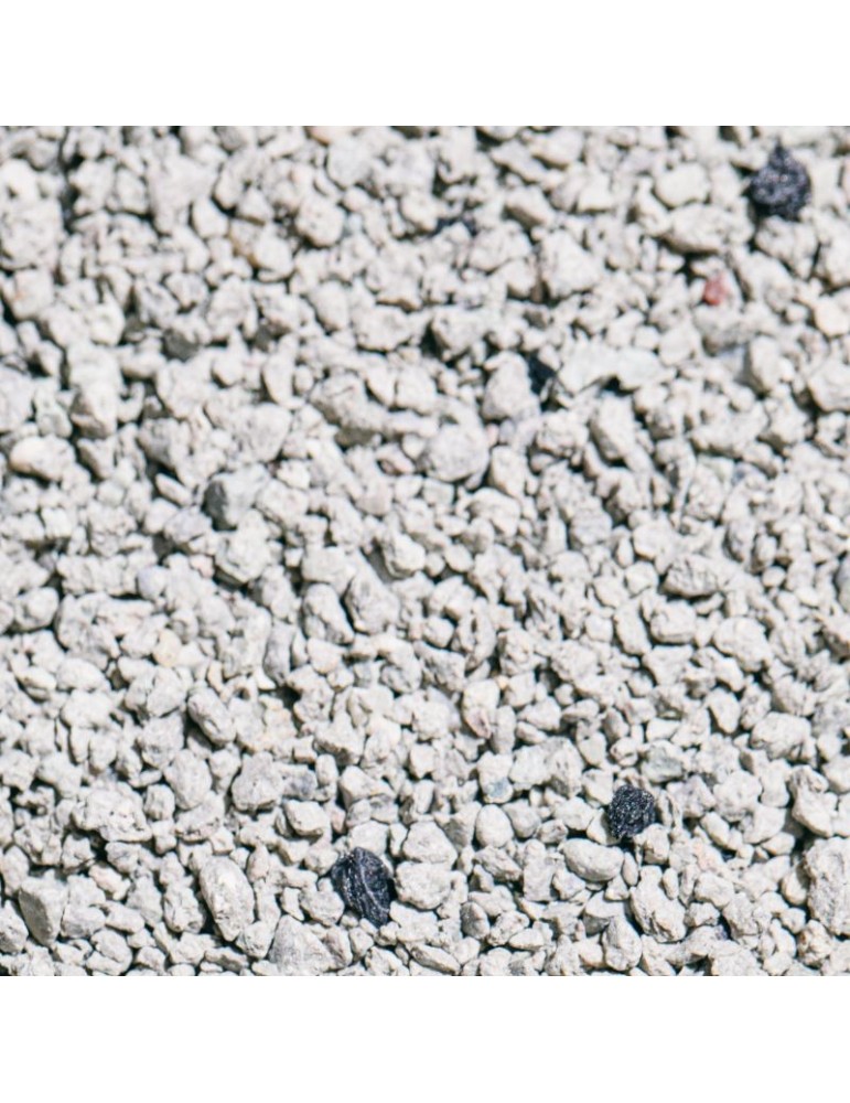 Areia bentonite para gatos 10Kg