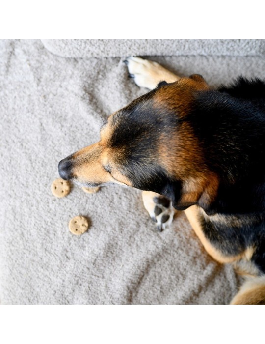 Snacks Naturali per Cani