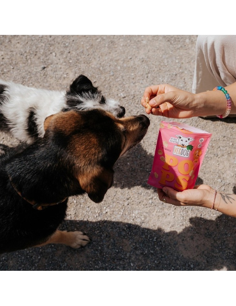 Snacks Naturali per Cani