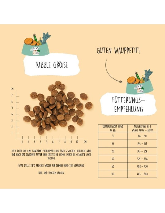 Pienso vegano sin gluten ni soja VegDog Farmer’s Crunch para perros ✅