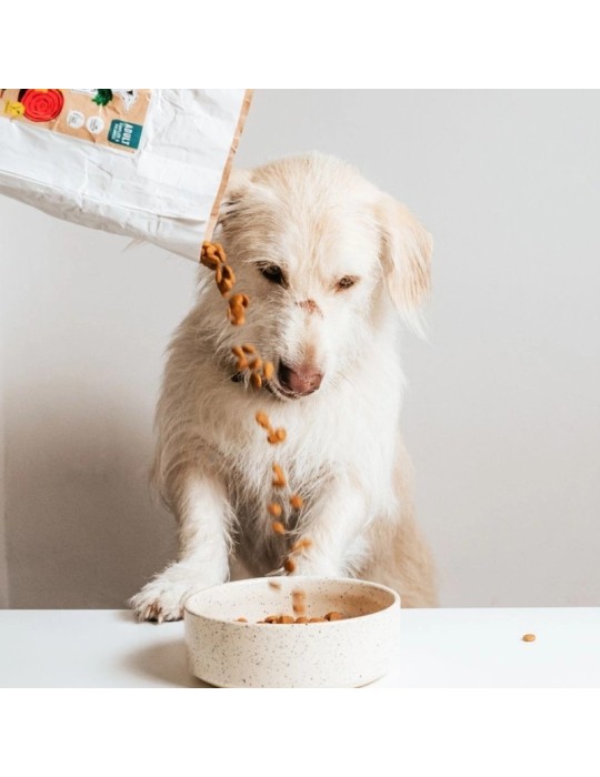 Pienso vegano sin gluten VegDog Simply Crunch para perros ✅