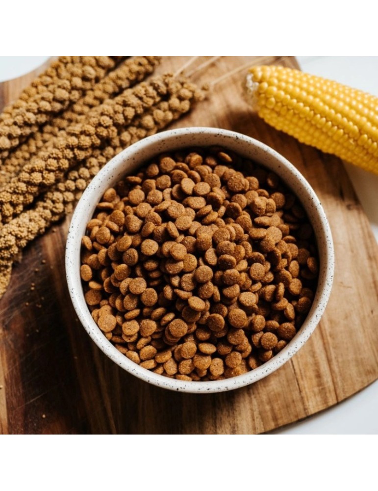 Snacks for dogs | 100% Organic and natural