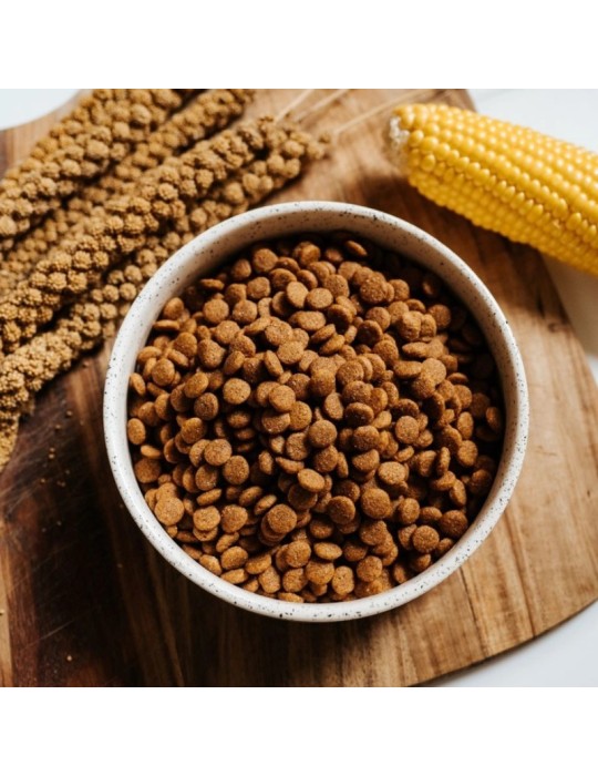 Snacks Naturali per Cani