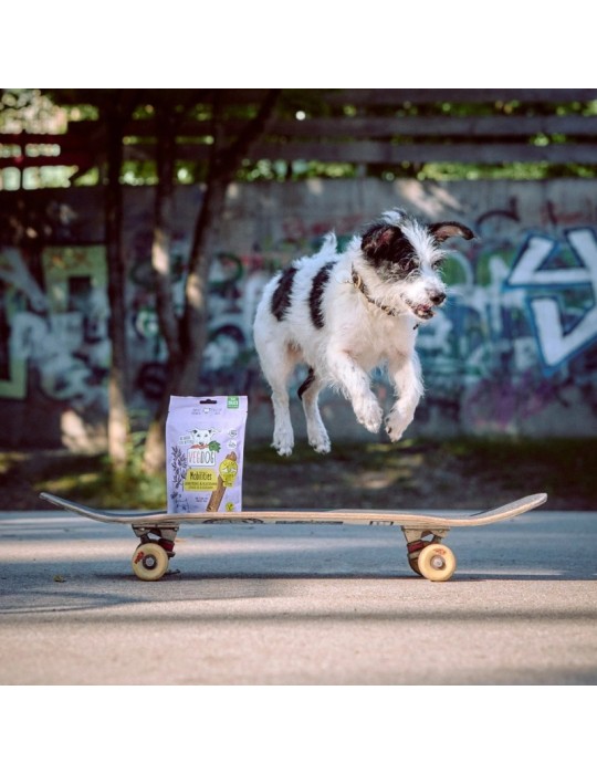 Snacks Naturali per Cani