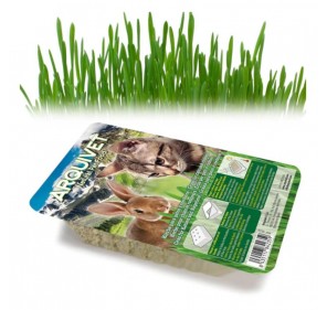 Erva fresca para gatos em bandeja 100g