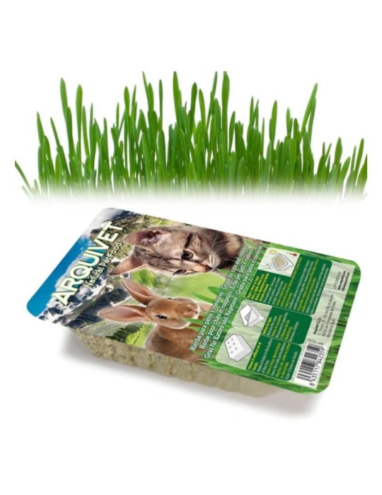 Arquivet Cat Grass – Erba Fresca per Gatti in Vassoio 100 g