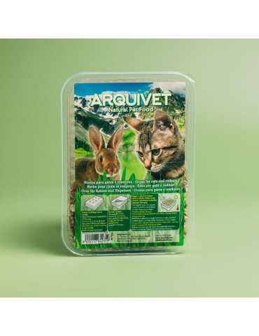 Erva fresca para gatos em bandeja 100g 2